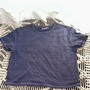 Textured Striped Blue Slight Crop American Eagle T-Shirt